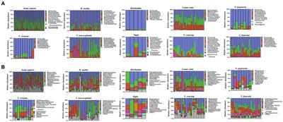 Antibiotic resistance profiles of gut microbiota across various primate species in Guangxi